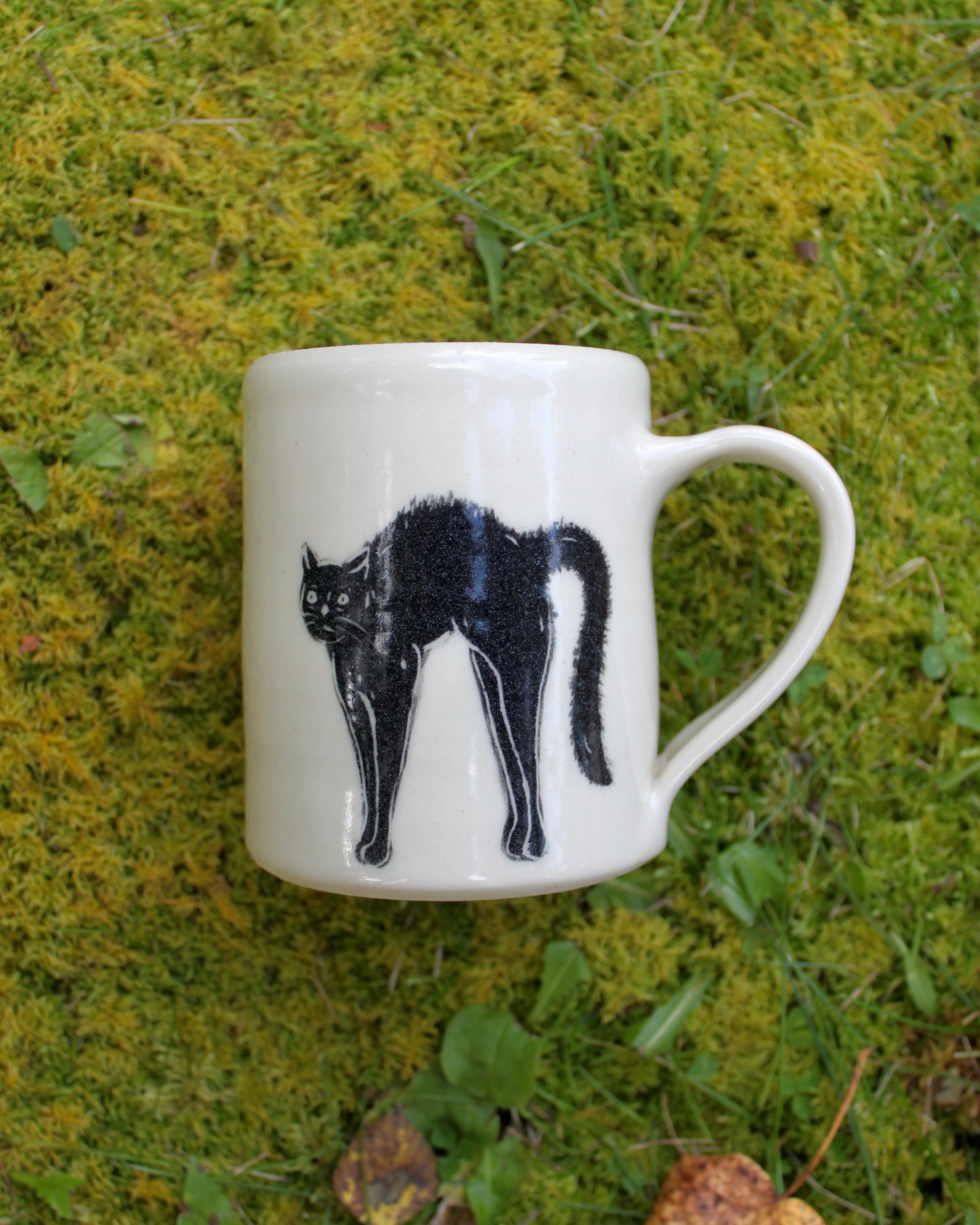 Scaredy Cat Mug 2