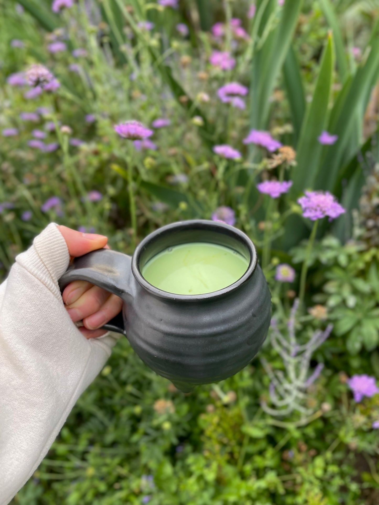 Cauldron Mug