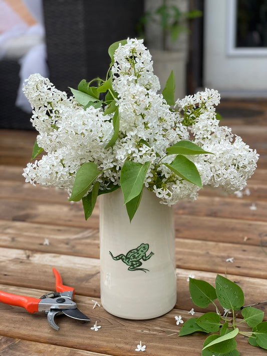 Frog Vase