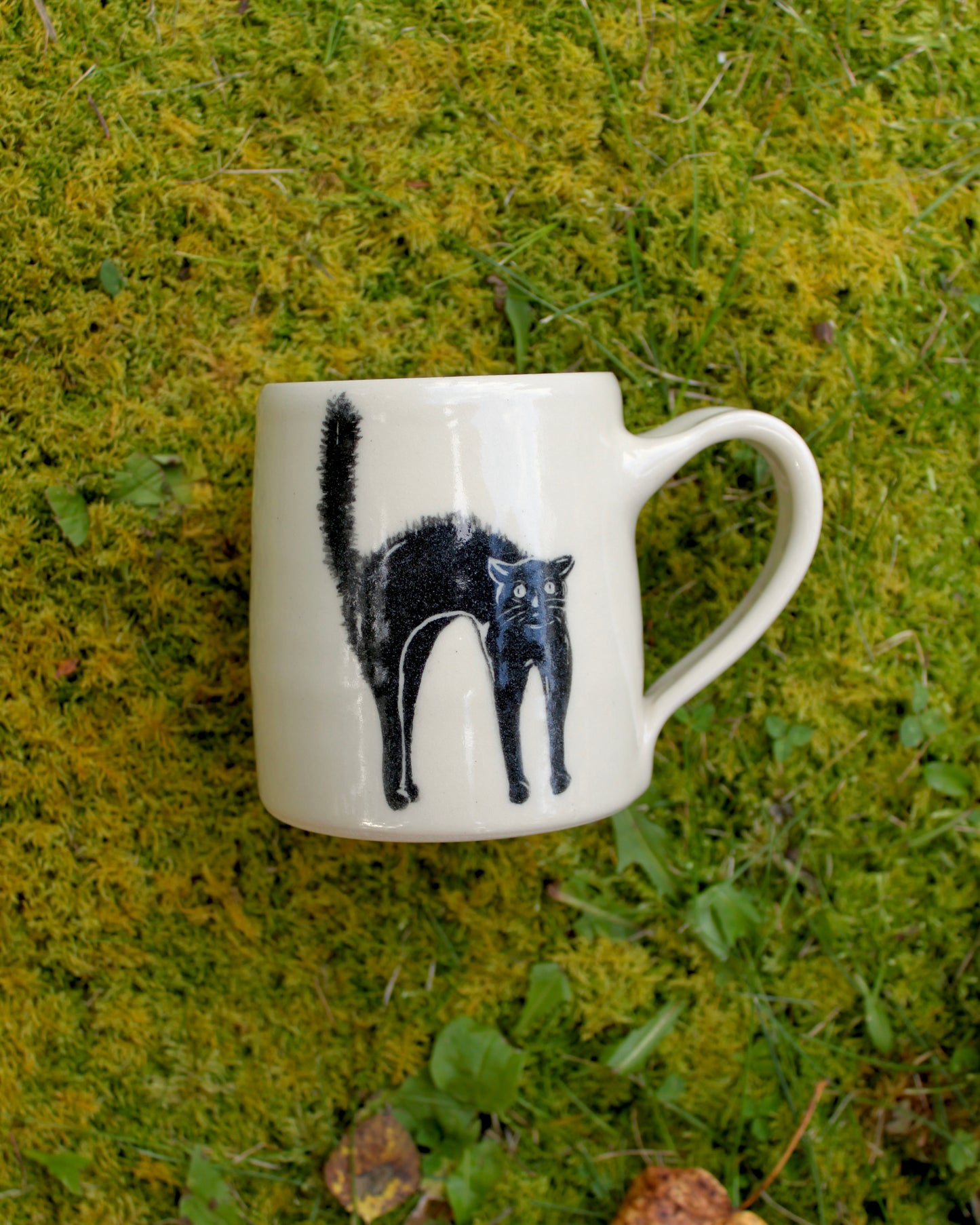 Scaredy Cat Mug 1