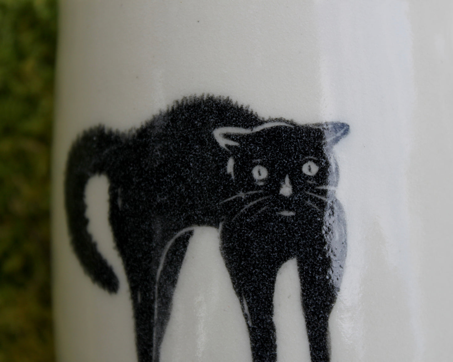 Scaredy Cat Mug 3
