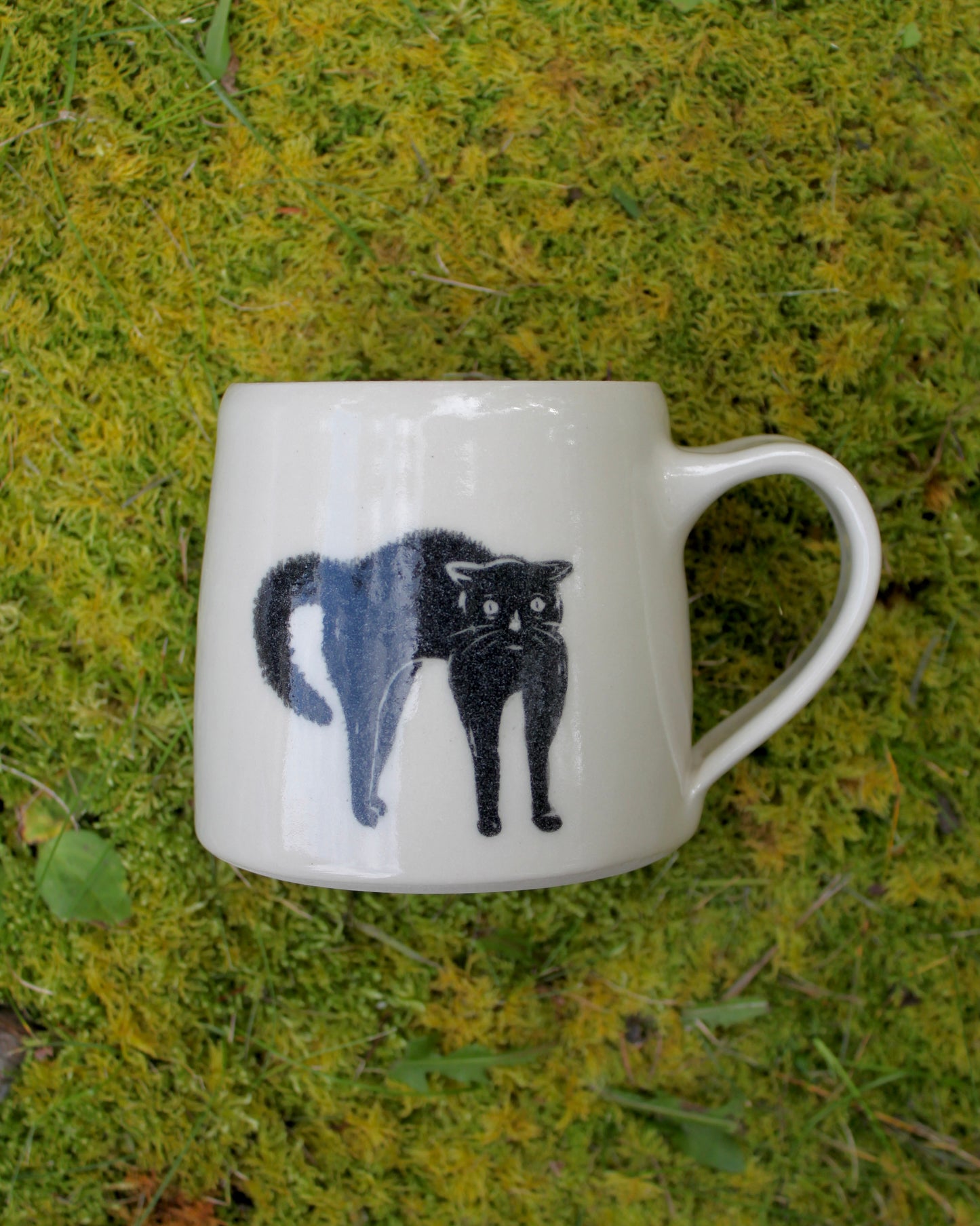 Scaredy Cat Mug 3