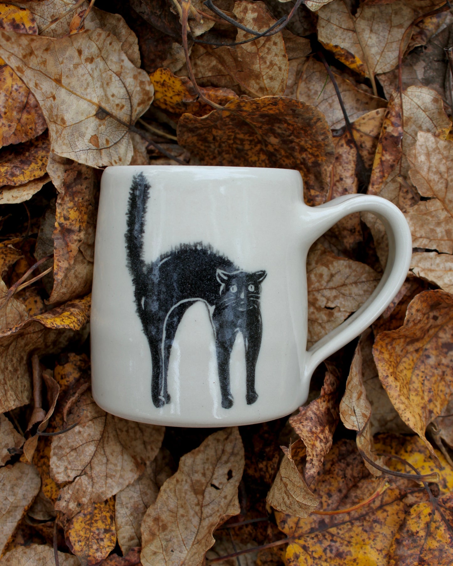 Scaredy Cat Mug 1
