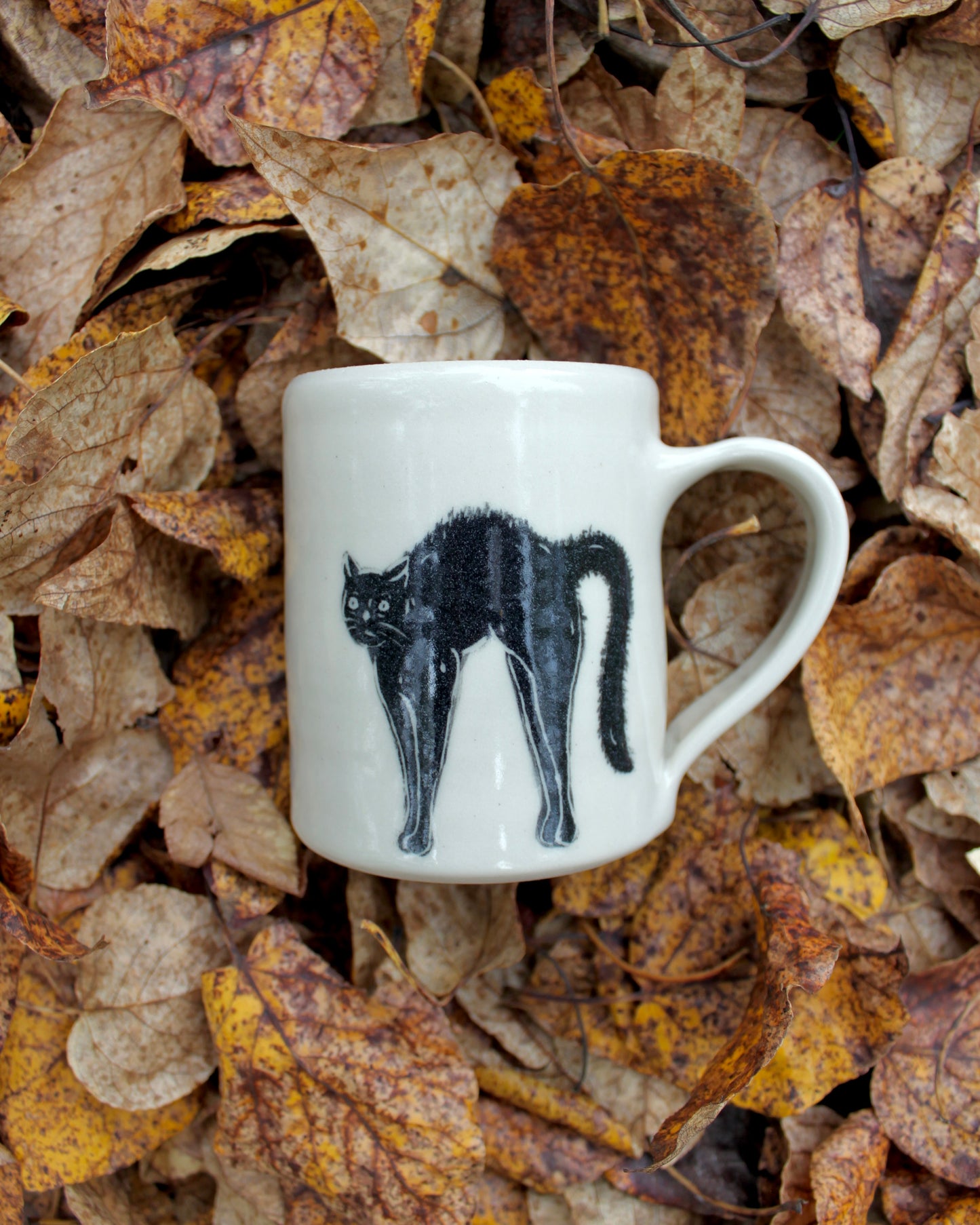 Scaredy Cat Mug 2