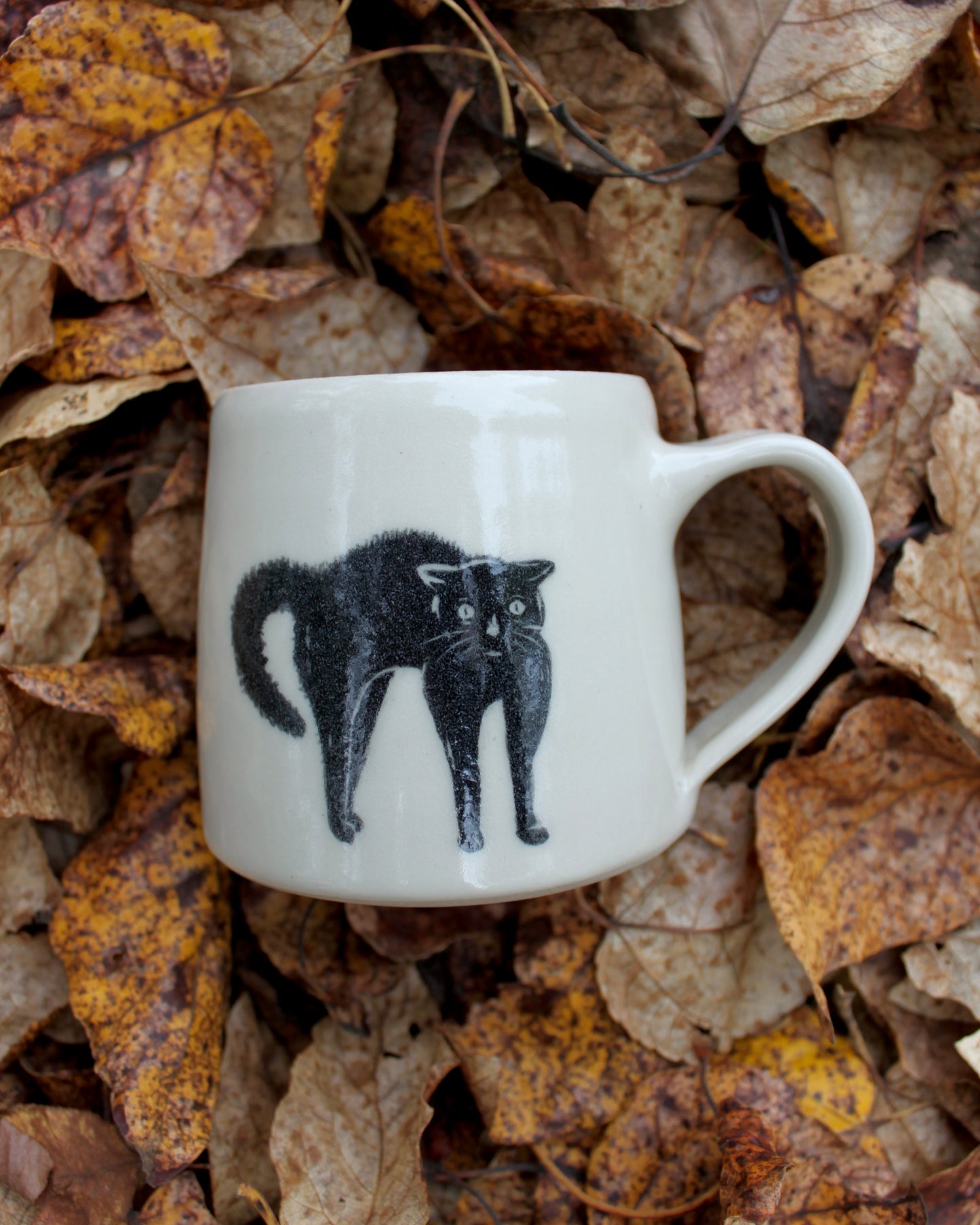 Scaredy Cat Mug 3