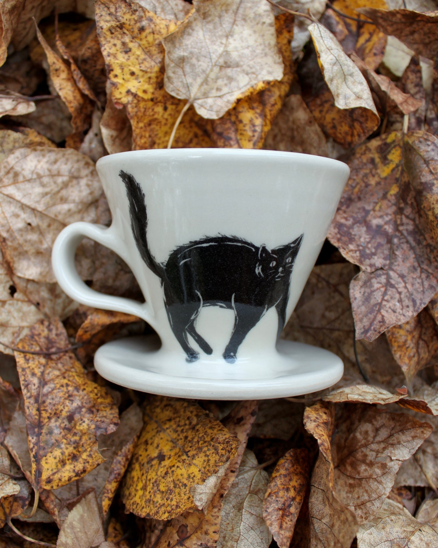 Scaredy Cat Pour-over