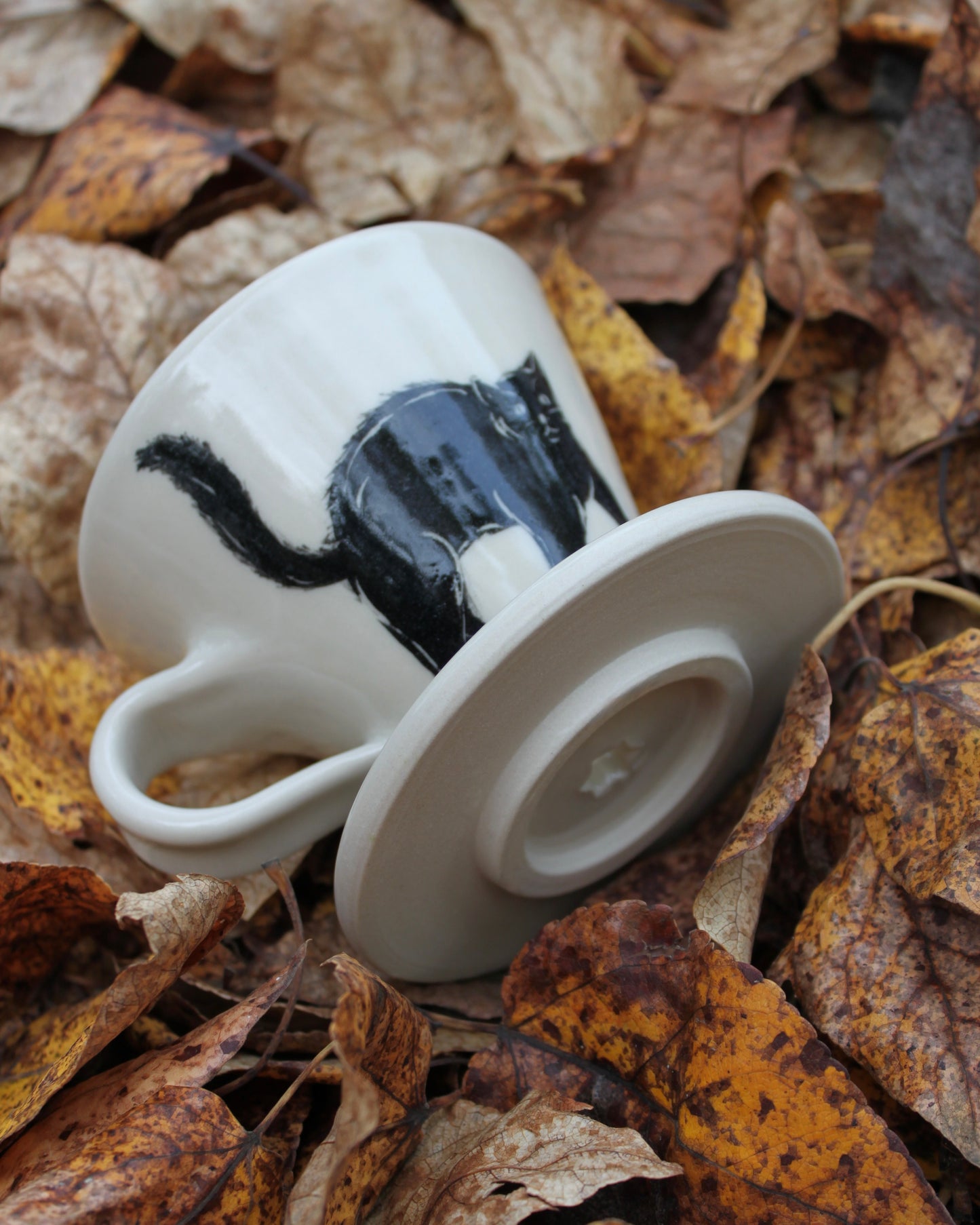 Scaredy Cat Pour-over