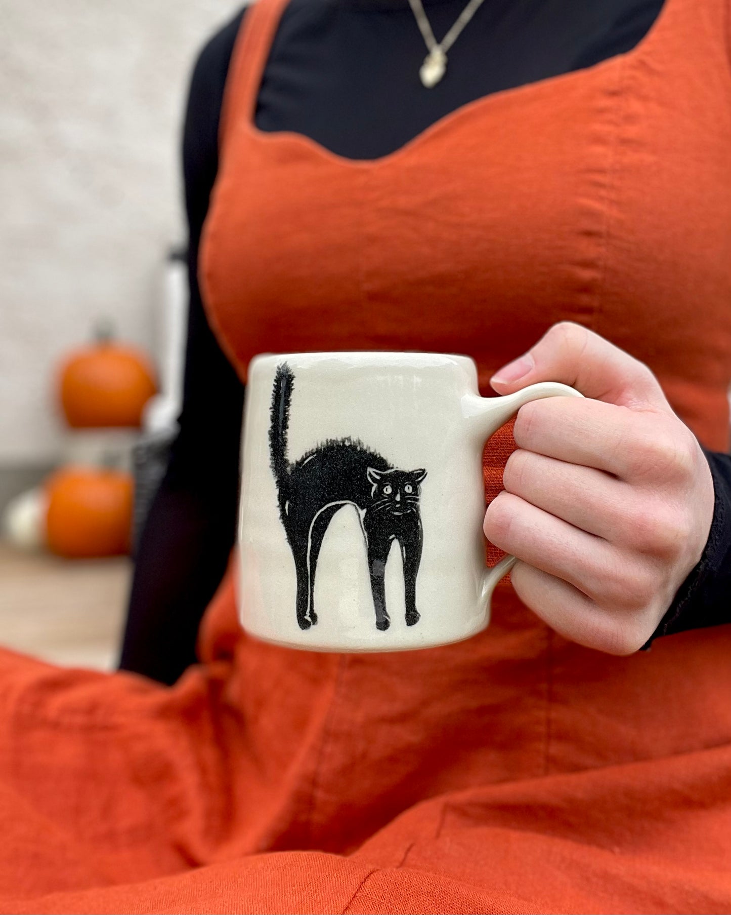 Scaredy Cat Mug 1